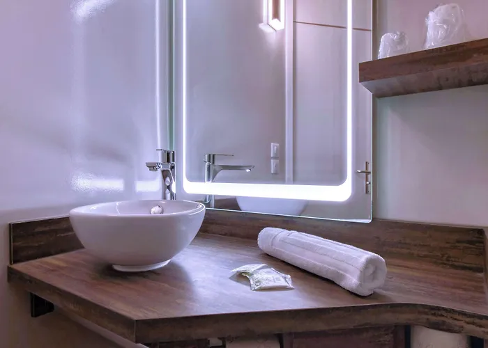 Brit Confort Pau 호텔 3*